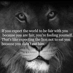 Meet your Posher, Lynn mansell